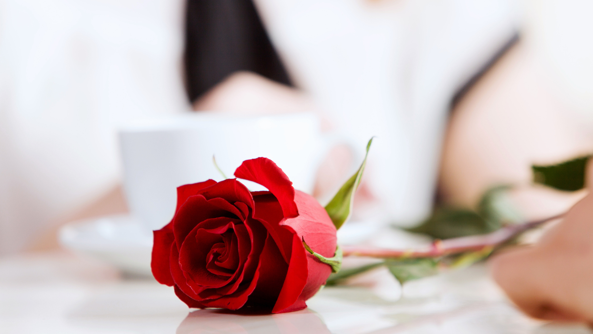 Sugurr Launches In-House Affiliate Program to Forge Strategic Partnerships